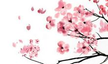 农历2020年腊月十二月初六出生的女宝宝结合诗经取名字