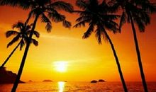 妈妈属兔孩子属狗好不好 是相合还是相冲(图文)