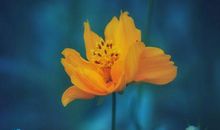 这些血型的人总能在绝境中反杀！