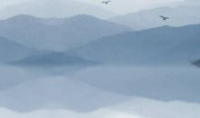 农历2020鼠年正月十三出生的男孩命好吗，要怎么起名