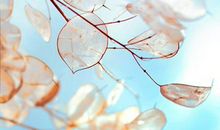 测看你会有攀高枝的开挂运气吗？