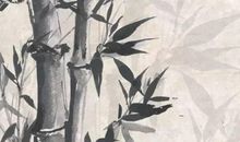 2020年农历三月十九出生的男孩命运解析，怎么起名字好