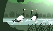 钱包的风水你懂多少 有何禁忌讲究