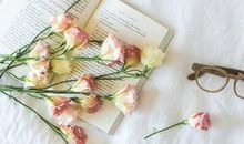 这些星座男会为了森林放弃一棵树！