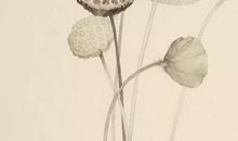 2020鼠年宝宝三月起名大全，禁用“竹为马象”之字形