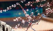 农历2020年腊月十二月十三出生的女宝宝取什么名字好听又高分