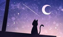 2019年小熊座流星雨时间 最佳观测地点