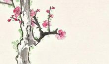 农历2020年腊月十二月二十九出生的女宝宝结合古诗词取名字