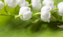 一不小心日进斗金！大钱小钱钞票不断 3生肖风水轮流转！