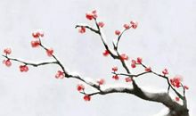 2020年大年初二黄历，生肖属狗不适合出门