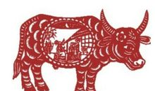 生肖蛇和生肖牛的合财吗？