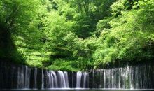 1月20号-31号，财运爆发，横财入宅，富贵吉祥的4生肖