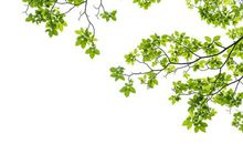 11月喜成双，12月中头彩，天上掉财、地上生金，3生肖鸿运缠身，想不富都难