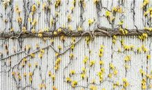 测一测你遇到渣男的机率有多大？