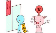 属猪男和十二生肖女爱情指数如何，谁是最适合他的人？