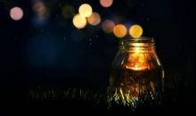 这些个生肖的人头脑机敏，懂赚钱之道，一生不为谋生担忧