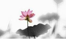 2020年农历十一月二十九出生的女孩起什么名字好，五行八字是什么