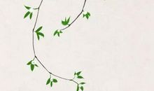 2020年初四时辰吉凶，注意冲煞自己属相时避开