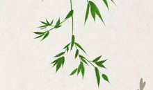 2020大年初三什么时辰好，这6个时辰不错