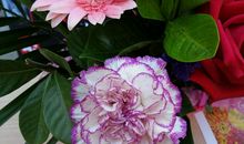 未来半年时至运来，贵人来相助，事业风生水起，财发不停的3生肖