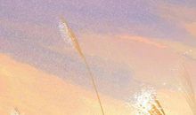 2020鼠年４月生肖属猴人财运如何，投资不顺钱财易失