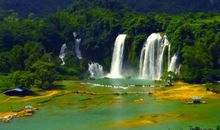 生肖属羊的女人2020年桃花运，运势不俗，度过难关便可获优质爱情