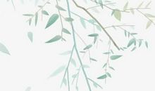 2020年农历十一月二十八出生的女孩结合诗经取名字，五行属什么