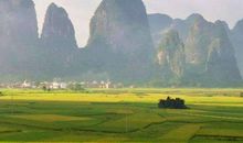 生肖属鸡的女人2020年桃花运，只拥有一朵桃花，但非常适合