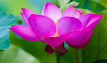 房子风水守不住财，楼梯放房子中央不利，门槛过低钱财溜走