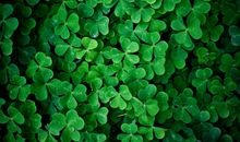 未来三年事业大红大紫，财运飙升，富贵有余，钱财无忧的3大生肖