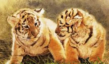 不把爱情当儿戏的3个生肖男，宁愿辜负天下人，也不辜负结发妻