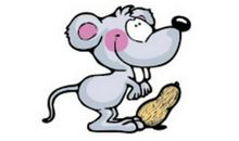 生肖兔和生肖马的合财吗？