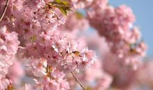 4.26-30号开始，相思绵长，期盼复合，将再次牵手的3个星座