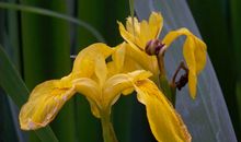 未来半月财运上上签，迎来大好时机，四属相轻松赚大钱，诸事顺遂