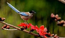 4月3-10一周，事业喜获丰收，吉星高照，富贵满堂的生肖