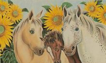 3对生肖情侣，虽然总爱吵架，但却关心彼此，相互照顾