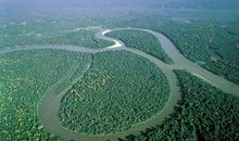 做事铁面无私很有准绳的生肖女