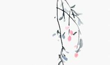 2020年11月9号出生的女孩起什么名字高分有诗意，五行属什么