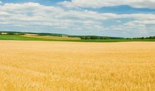 房子里的财神招财位置，文财神向室内，武财神向屋外