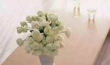 风水：哪些布置在影响着婚姻的和谐？