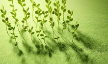 5月1日：在5月财富爱情运势节节攀升的生肖猴、龙