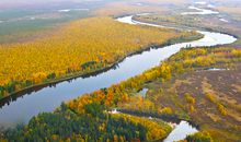 美貌与才华兼具的生肖女