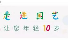 高颜值鱼缸，改善家居风水！