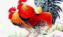 3大生肖对感情非常专一，一旦爱上了就很难放手