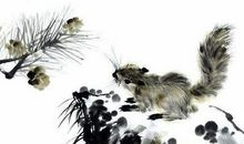 4生肖女是“菩萨下凡”，长相美，心肠好，一生福气好运缠绕