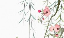 2020年11月19号出生的男孩参考周易起名字，五行八字解析