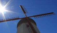 大林木命适合佩戴什么饰品，属木及属水的水晶都很适合