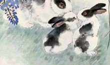 谁家老婆是以下3生肖，是老公的锦鲤，越老财越旺，娶到幸福一辈子