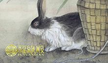 10月份财富值猛增的生肖