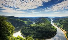 侥幸可以得到富贵男友追求的生肖女